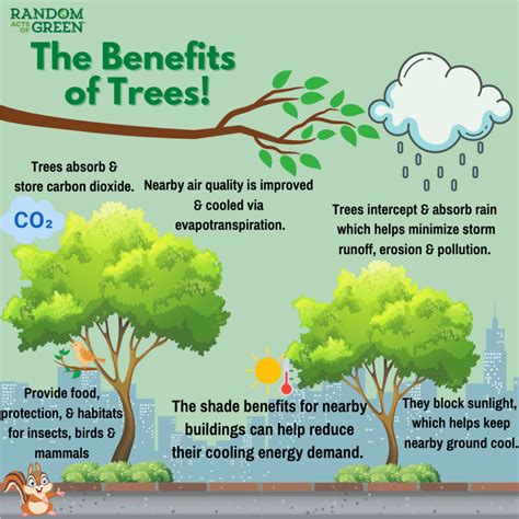 some of the advantages of planting trees in cities are that they|The benefits of trees for livable and sustainable communities.